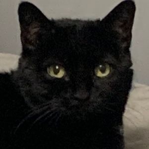 Meet your Posher, Nora